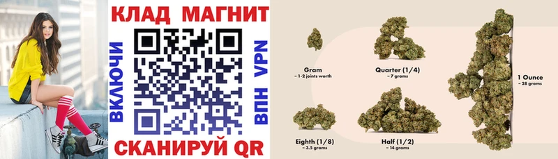 ГАШ Курлово