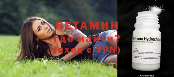 дживик Няндома