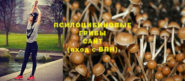 не бодяженный Нязепетровск