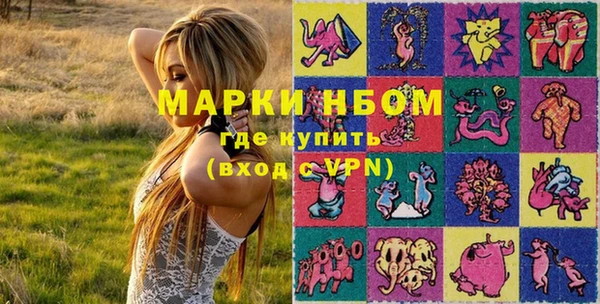 дживик Няндома