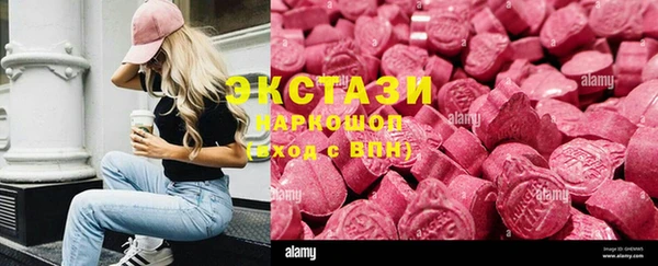 дживик Няндома
