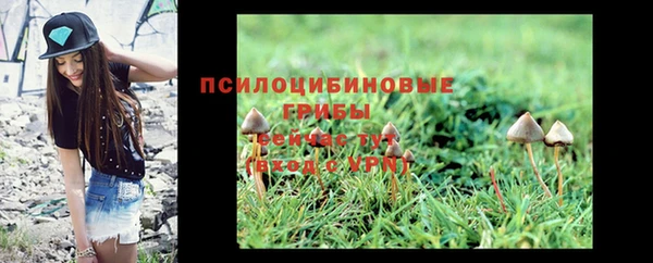 винт Бутурлиновка